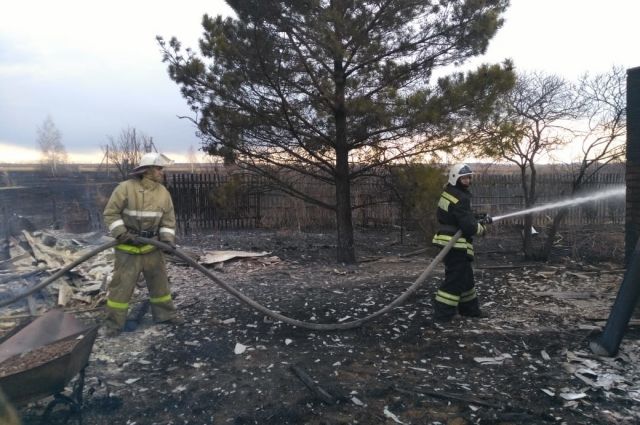 Задержан начальник РЭС района Омской области по делу о сильнейших пожарах