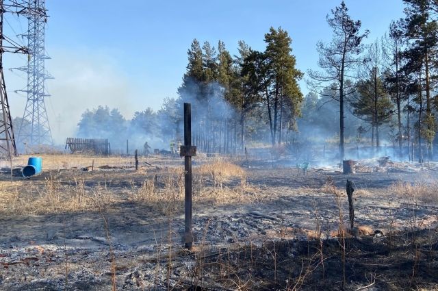 Площадь лесных пожаров в Красноярском крае превысила тысячу гектаров