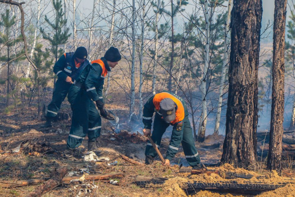 Сотрудники МЧС России не допустили распространения огня на 10 социальных объектов и 1,5 тыс. жилых домов в Курганской области