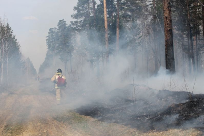 Тушение пожара в Иркутской области