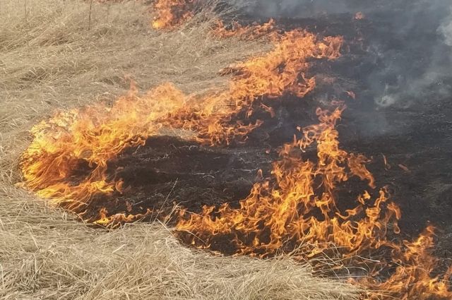 В МЧС предложили отказаться от сжигания сухой травы, чтобы избежать пожаров