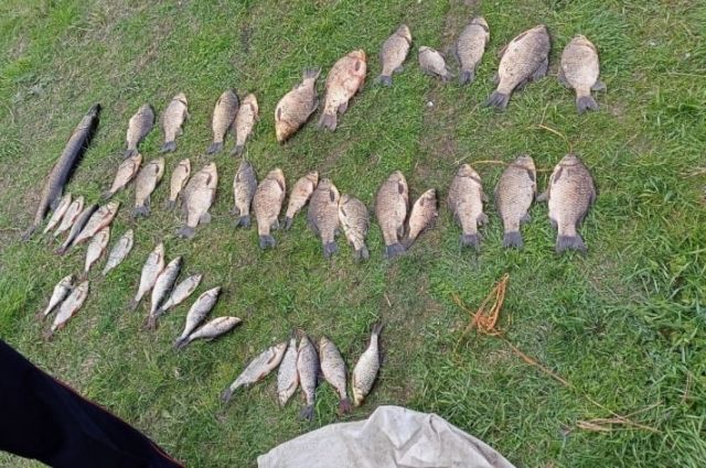 В Брасовском районе полиция задержала трех браконьеров
