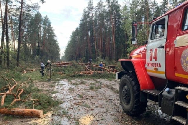 В Брянской области ураган оборвал линии электропередач и повалил деревья