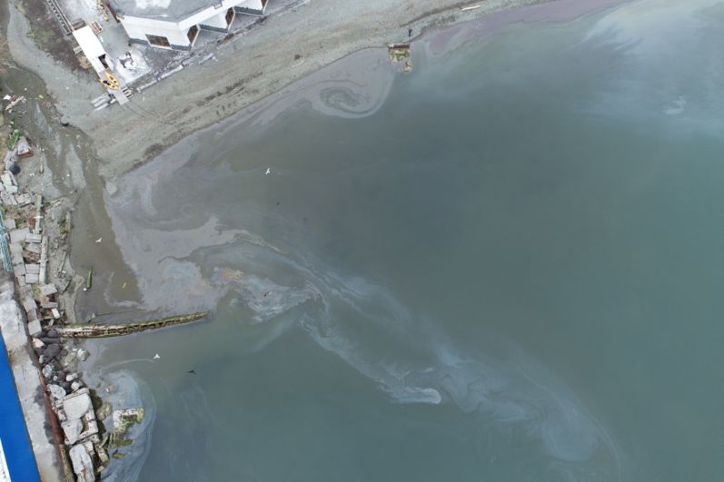 Последствия разлива нефтепродуктов в акватории Авачинской бухты