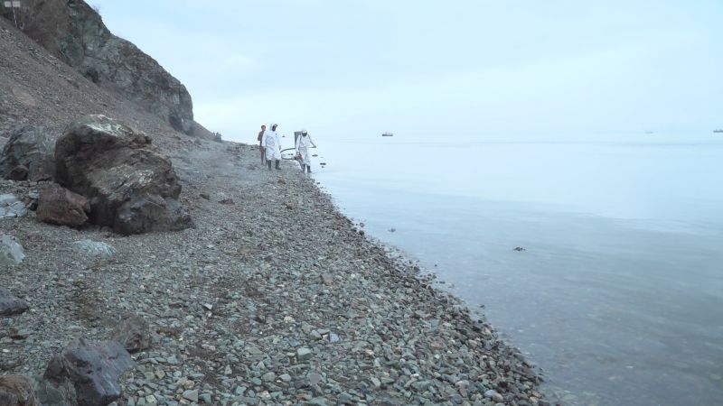 Специалисты ЛАРН очищают берег Авачинской бухты от нефтепродуктов