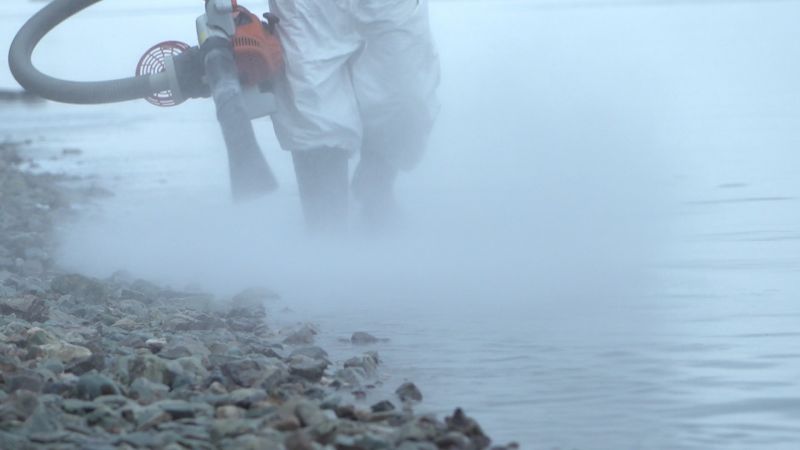 Специалист ЛАРН очищает берег Авачинской бухты от нефтепродуктов