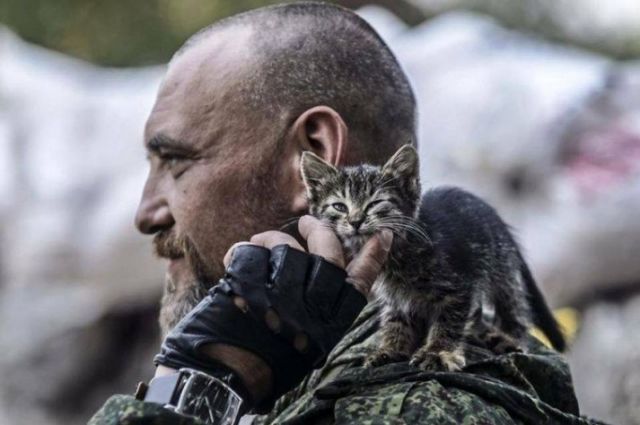«Наши котики»: как украинские защитники во время войны спасают четырехлапых