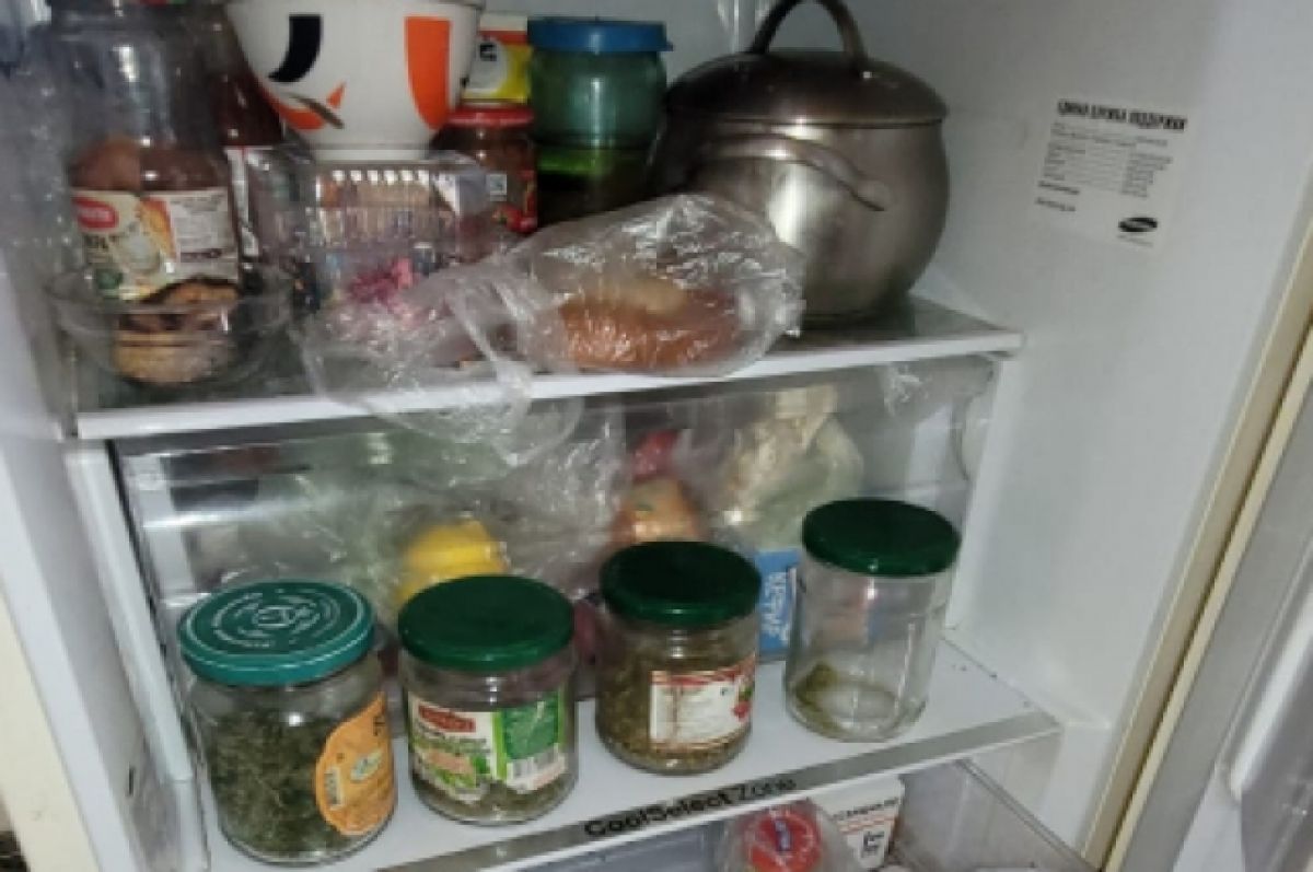 Марихуану в холодильник вырастить на подоконнике марихуана