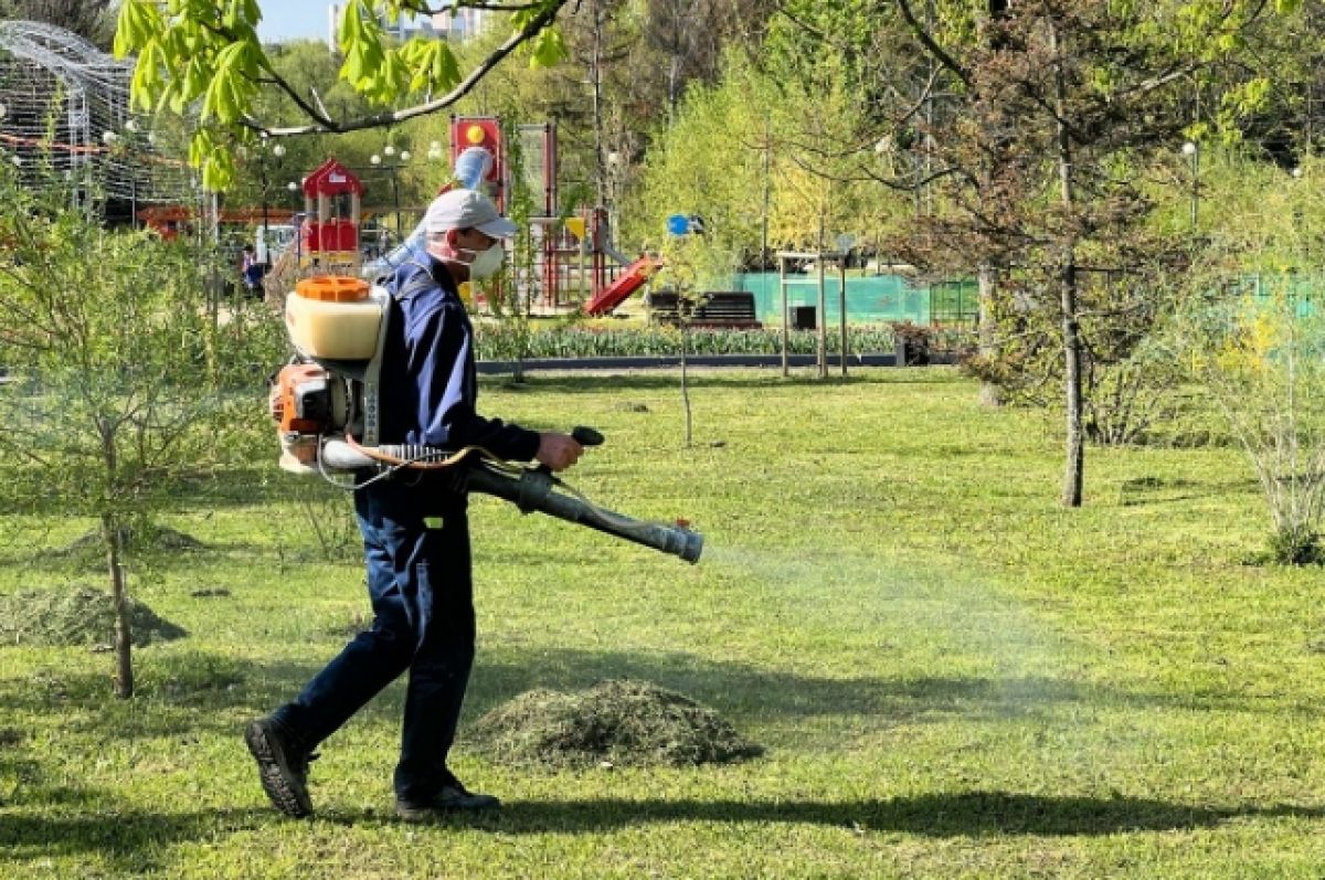 Белгородцев попросили временно не ходить в парки из-за обработки от клещей  | АиФ Белгород