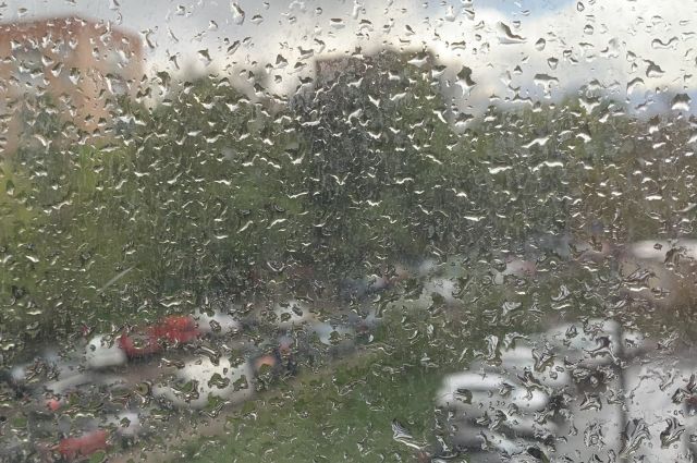 В Оренбуржье продолжаются дожди и грозы