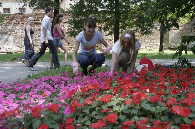 В 2022 году в Нижнем Новгороде обещают высадить более 36 тыс. цветников.