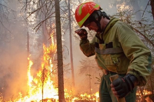 Первые лесные пожары, возникшие из-за гроз, зафиксированы в районе Красноярского водохранилища.