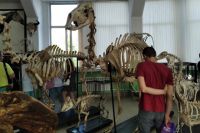 В анатомическом музее был настоящий наплыв посетителей.