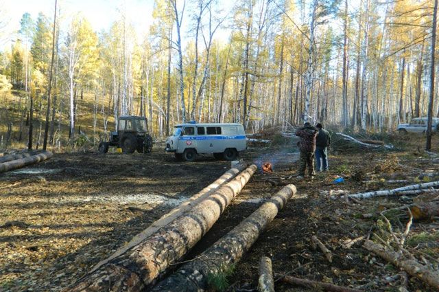 В отношении местных лесопользователей подано пять исков в суд.
