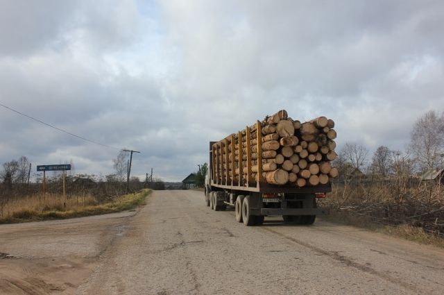 Нет очередей на получение древесины в Чердынском, Гайнском, Красновишерском районах.