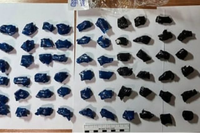 Брянские полицейские задержали восьмерых наркокурьеров с 5 кг «синтетики»