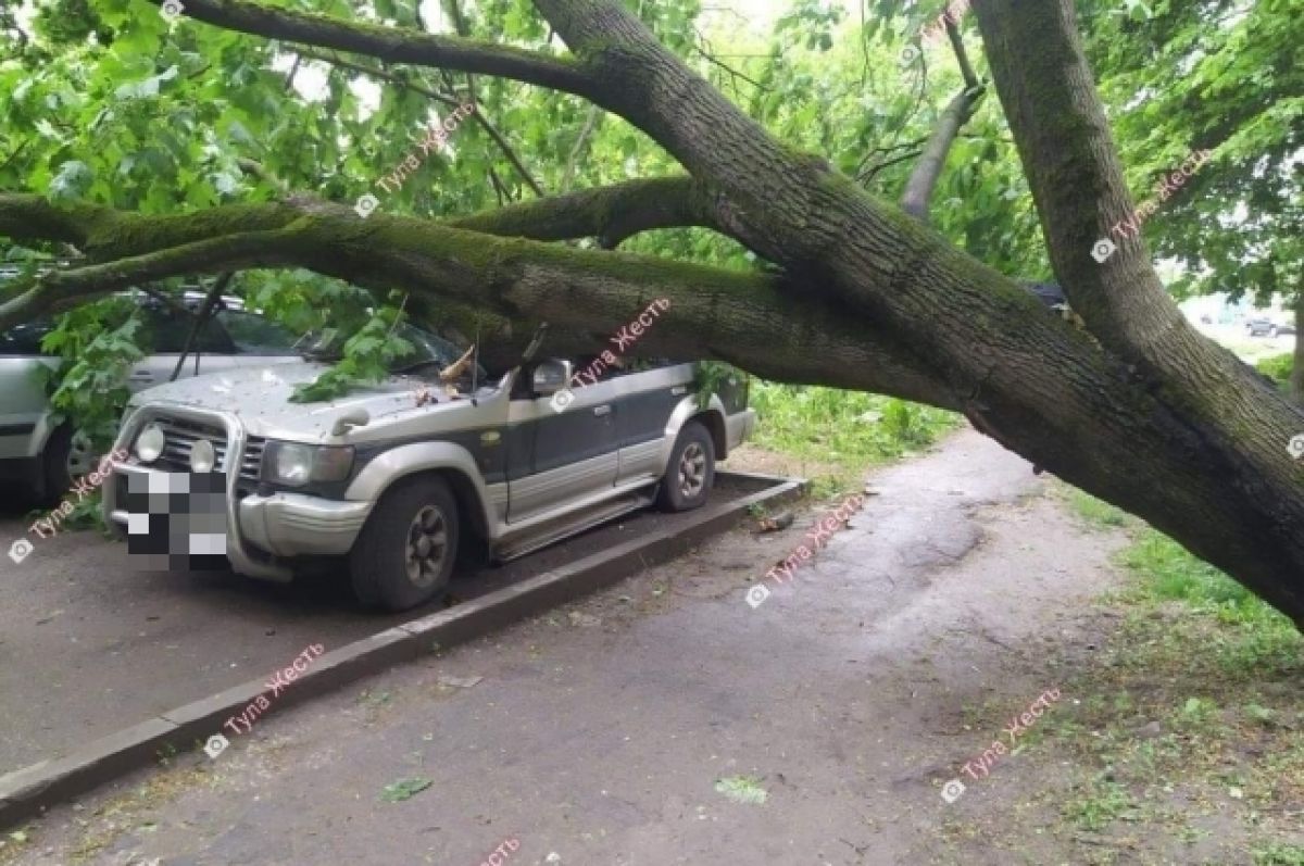 Что делать если на машину упало дерево