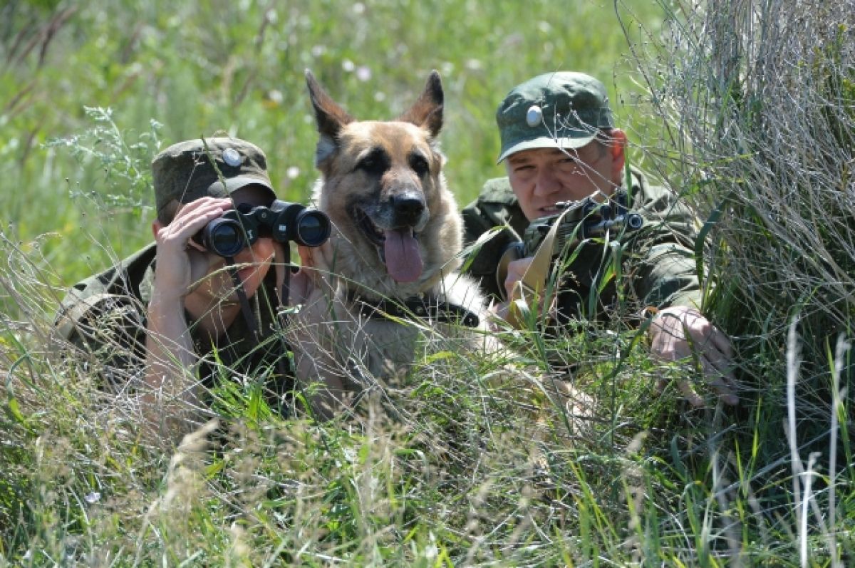 Пограничные войска фото