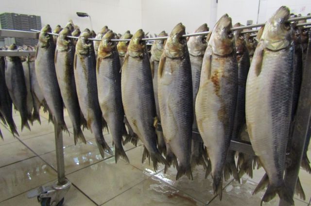 Житель Ростовской области отравился вяленой рыбой и умер