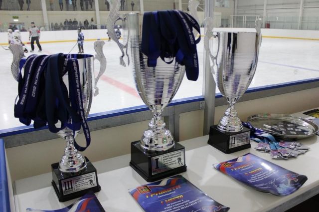 Хоккеисты из Брянска и Трубчевска выиграли Кубок губернатора