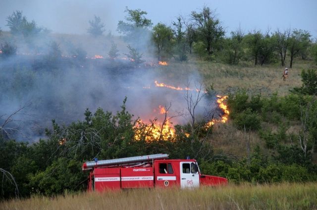 В РФ площадь лесных пожаров за сутки сократилась на 60%