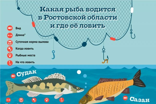 Лучшие места для рыбалки в Ростове-на-Дону
