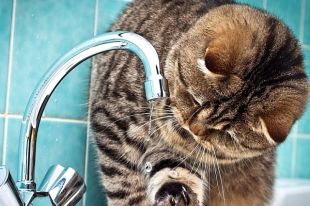 В Украине планируют заморозить тарифы на газ, отопление и горячую воду