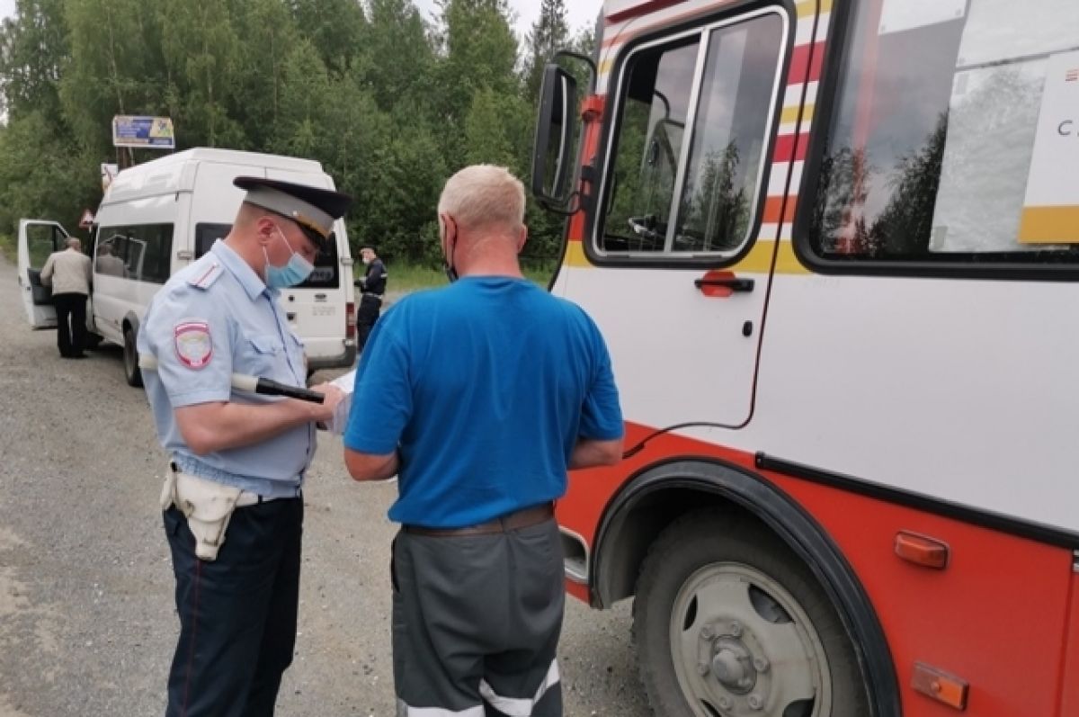 Автобусы проверят сотрудники ГИБДД на дорогах Свердловской области | АиФ  Урал