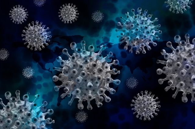 В Брянской области за сутки выявлено 18 случаев коронавируса