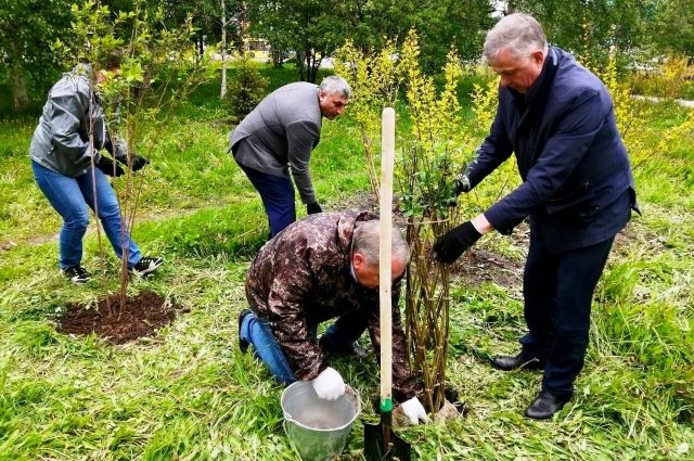 Посадить «Сад дружбы» также пришли экоактивисты, волонтеры, общественники