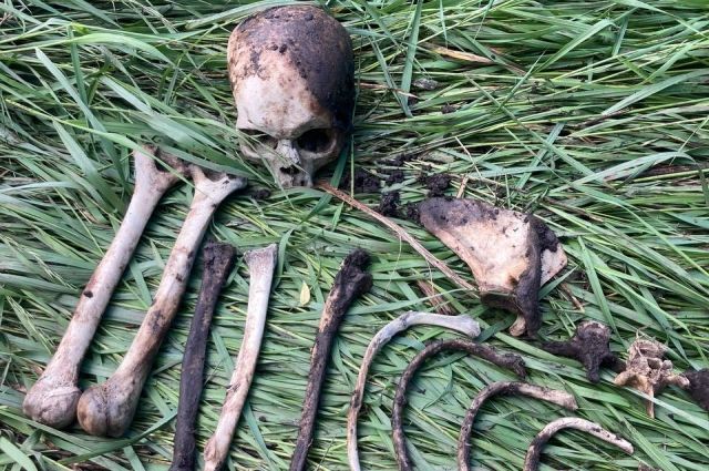 Юные рыбаки Грачевского района нашли в овраге человеческий череп.