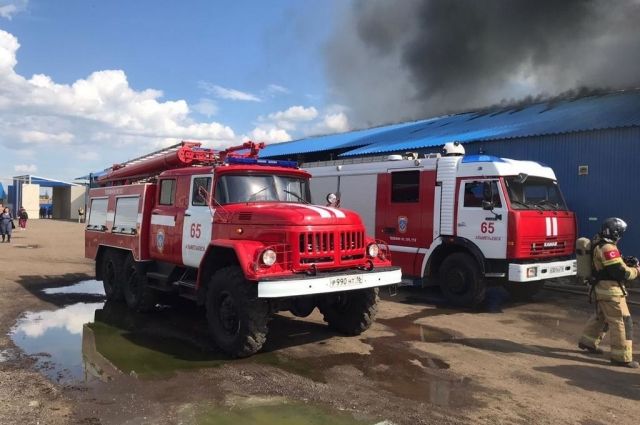 В Альметьевске тушат крупный пожар на складе рыбной продукции. 