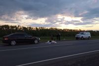 Водитель Opel насмерть сбил голосовавшего на трассе жителя Переволоцка.