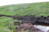 В границах Кубанского сельсовета Переволоцкого района произошел порыв нефтепровода.