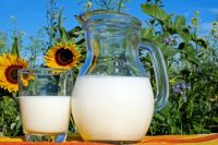 В Оренбуржье выявили более 13 тысяч килограммов просроченного молока.