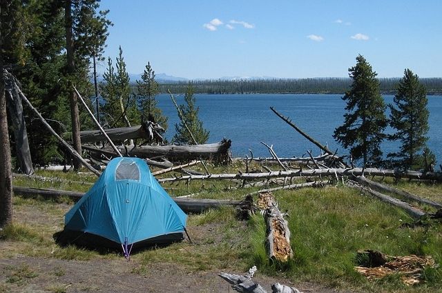 При желание гости фестиваля могут разбить палатку и отдохнуть на природе.