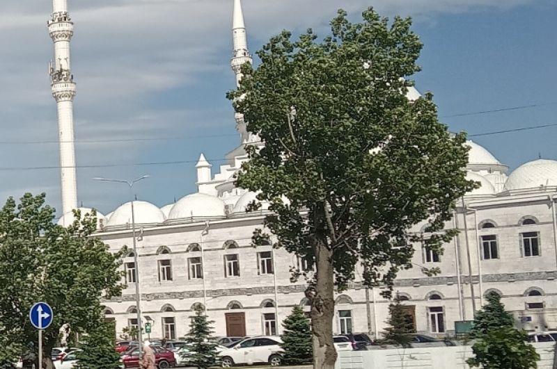 Джума-мечеть.