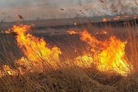 В трех районах Оренбуржья прогнозируется четвёртый класс пожарной опасности.