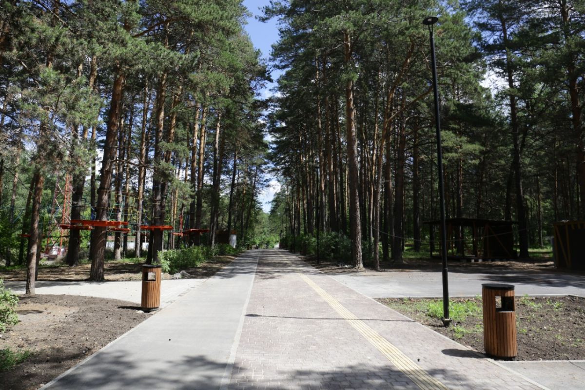 Заельцовский парк фото