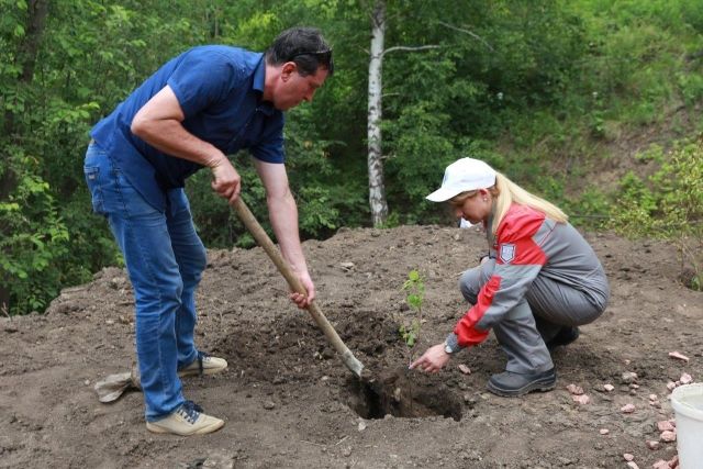 15 июня состоялись высадки деревьев, как финальный этап обустройства общественных зон. 