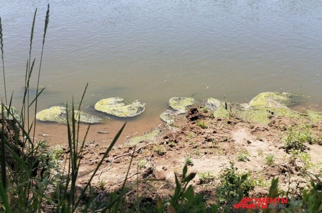 15-летняя жительница Домбаровского района утонула в реке Орь.