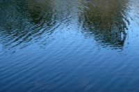 В Набережных Челнах водолазы ищут утонувшего ребенка. 