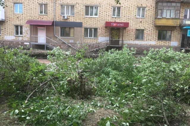 На улице Красной Армии новые насаждения не планируются.