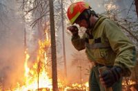 Лесопожарный центр перебрасывает лесных огнеборцев на север.