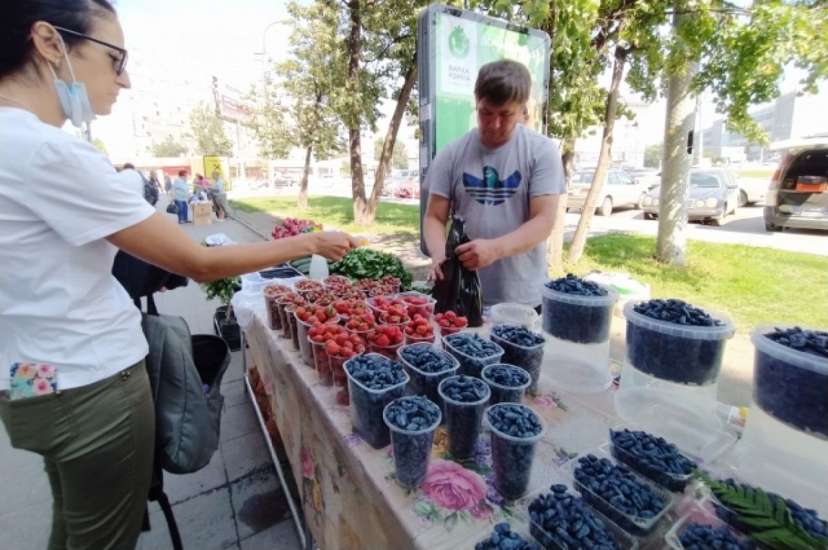 Фестиваль «Жимолость» пройдет в Томске на площади Новособорной 26 июня |  АиФ Томск