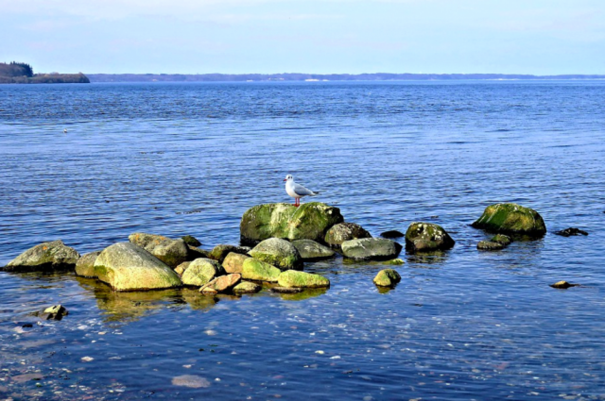 Балтийское море корбали. День Балтийского моря.