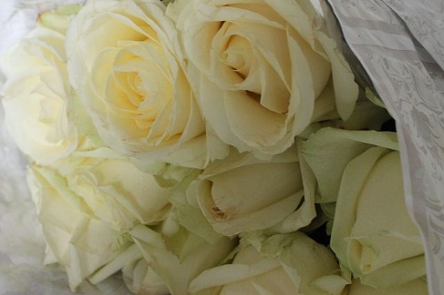 Фанаты хором исполнили хит Шатунова Белые розы на кладбище
