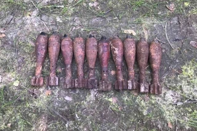 Более 20 боеприпасов времен войны нашли на Брянщине за неделю