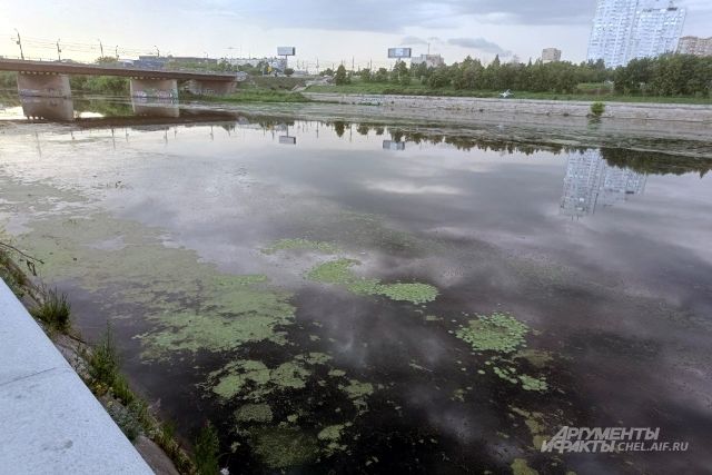 Так выглидит река в районе набережной у 