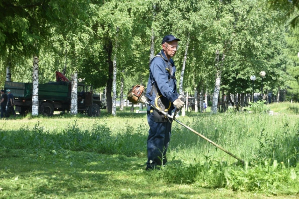 В Твери усилена работа по покосу травы в парках и скверах | АиФ Тверь